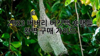 2023 버버리 버킷백 숏핸들 완벽 구매 가이드