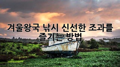 겨울왕국 낚시: 신선한 조과를 즐기는 방법