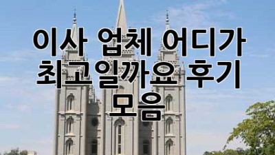 이사 업체, 어디가 최고일까요? 후기 모음